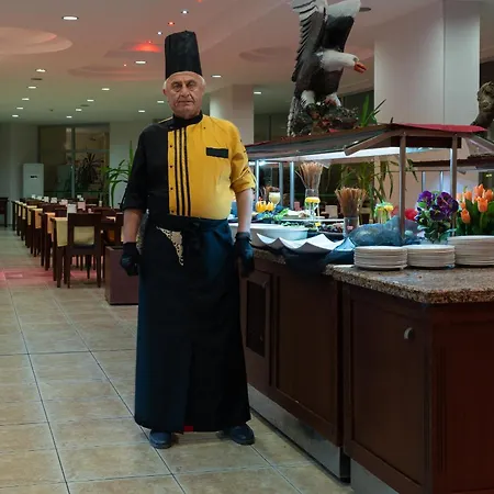 Grand Viking Hotel *
