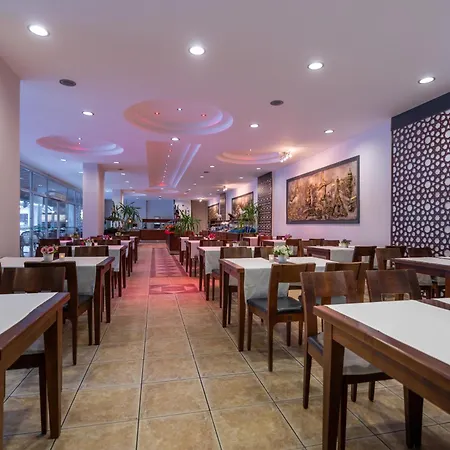 Hotel Grand Viking *