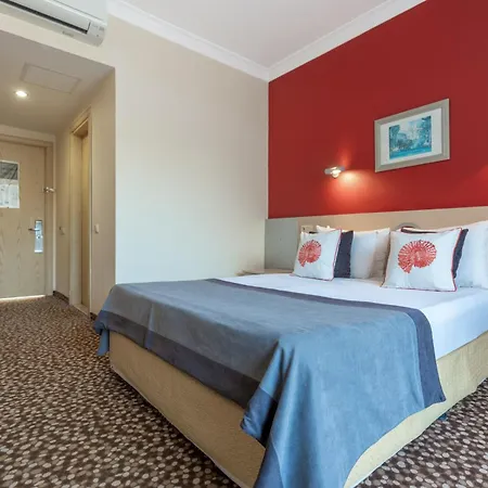 Hotel Grand Viking *