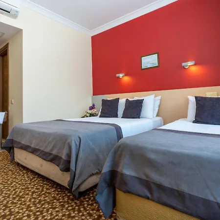 Hotel Grand Viking *