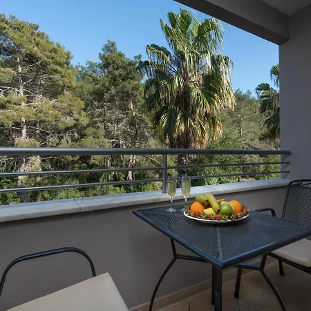 Hotel Grand Viking Kemer