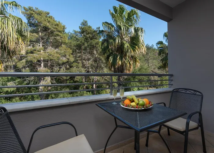 ホテル Grand Viking ケメル