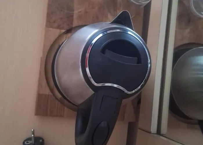 ホテル Grand Viking ケメル